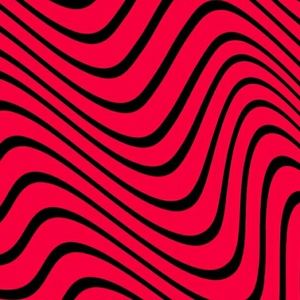 Meet your Posher, Diego